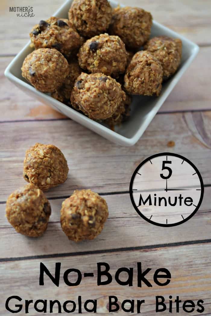 Peanut Butter Granola Bar Bites! You would NEVER guess these suckers are as healthy as they are, they are so yummy!