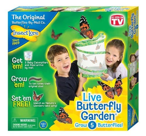 live butterfly garden kit