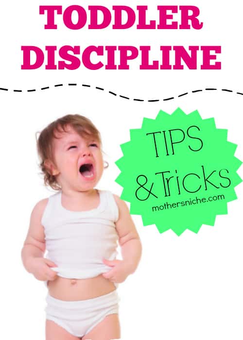Good reminders. Disciplining a toddler can be tricky