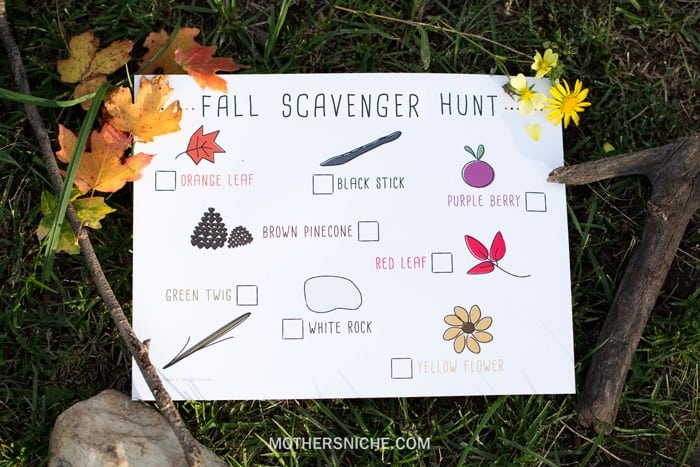 Fall Colors Scavenger Hunt