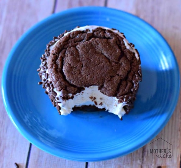 Homemade Ice Cream Sandwiches using a cookie recipe that STAYS SOFT in the freezer! Just like the real thing (only way more tasty!)