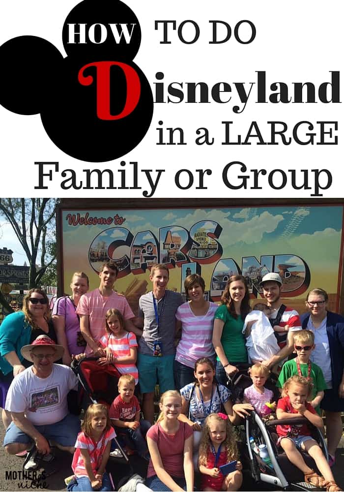 How to Do Disneyland in a Large Family or Group