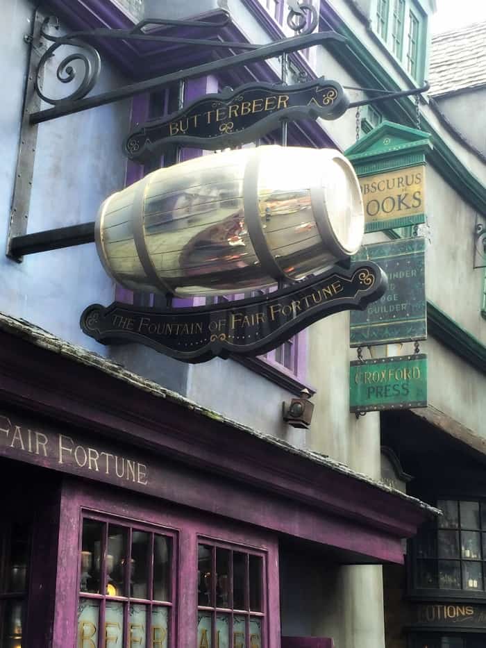 a Harry Potter Experience at Universal Studios