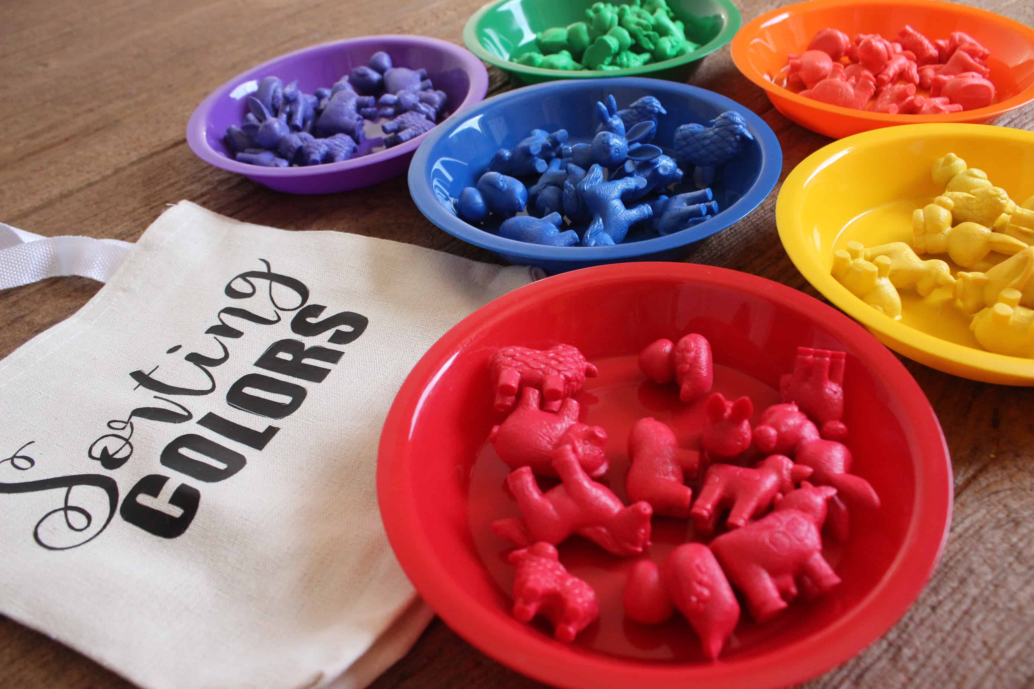 Color Sorting Busy Bag
