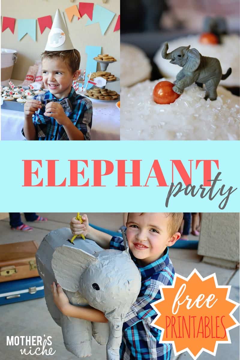 the sweetest ELEPHANT themed birthday party
