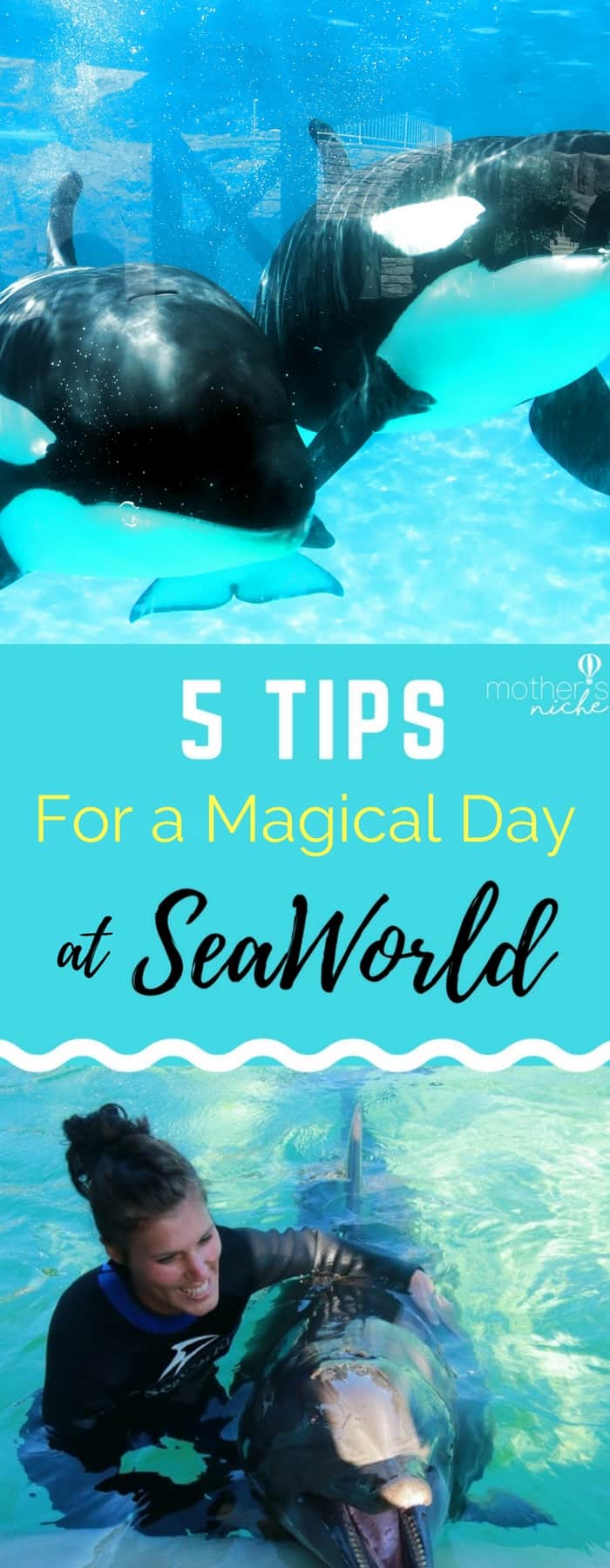 Sea World Tips for the Perfect Day at Sea World