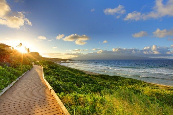 Maui vs Kauai: the pros and cons to both islands and how to choose which one you want to visit