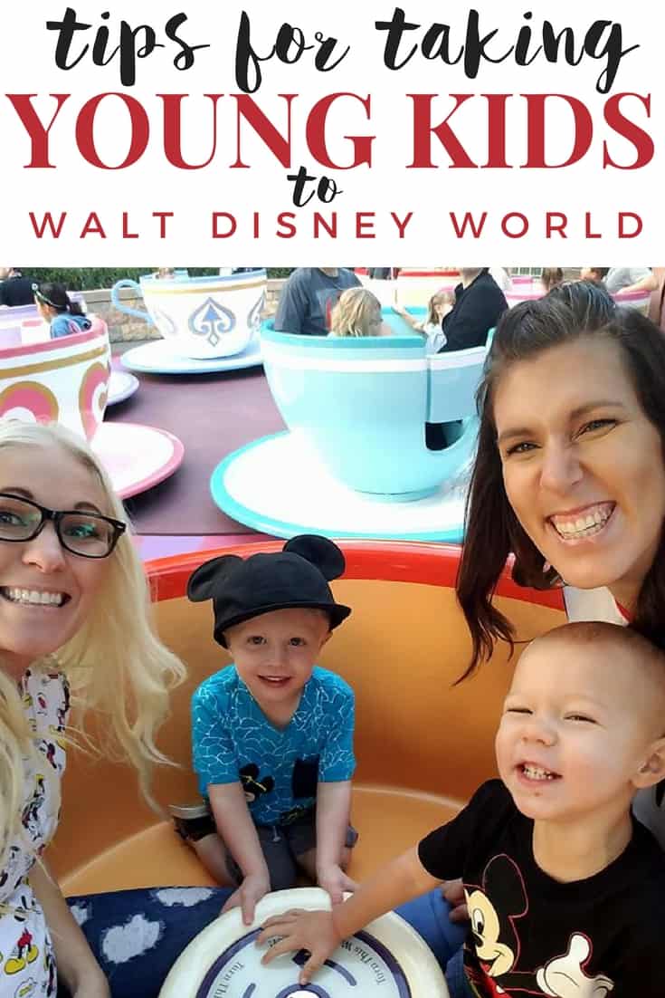 Tips for Taking Young Kids to Walt Disney World®