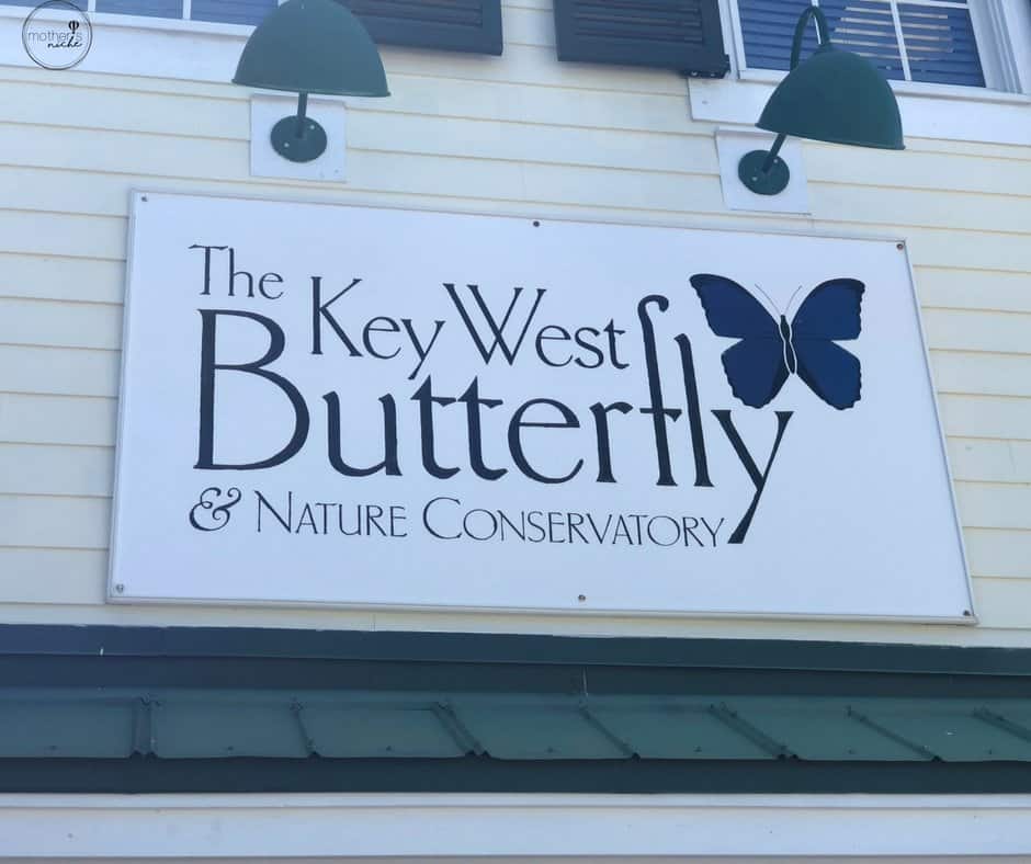 The Key West Butterfly & Nature Conservatory, plus 19+ other fun things to do with kids
