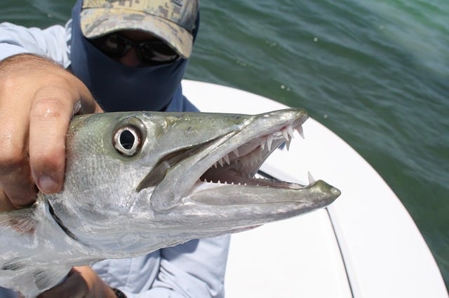 Best fishing in the Florida Keys and 99 other Things to do in the Florida Keys