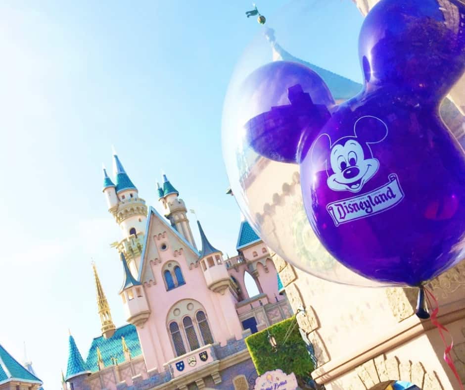 How to do Disneyland with a group or large family